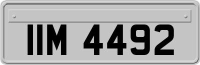 IIM4492