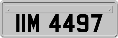 IIM4497