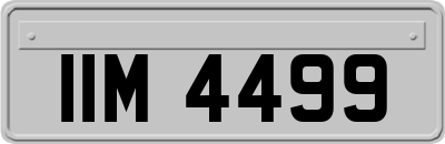 IIM4499