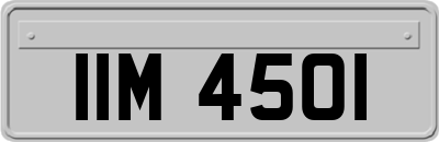 IIM4501