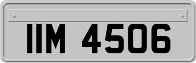 IIM4506