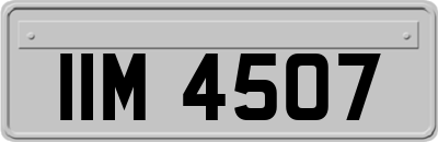 IIM4507