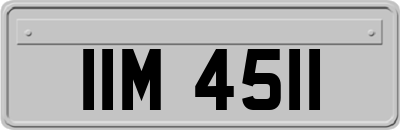 IIM4511
