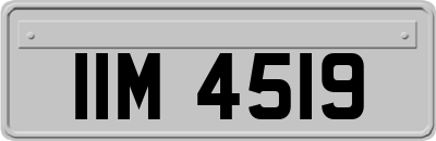 IIM4519