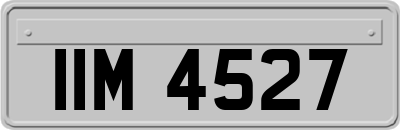 IIM4527