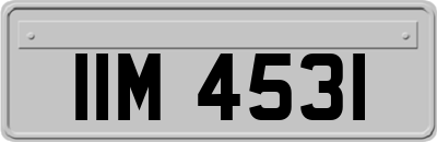 IIM4531