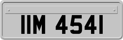 IIM4541
