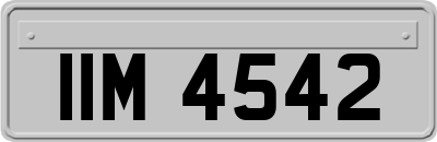 IIM4542