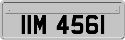 IIM4561