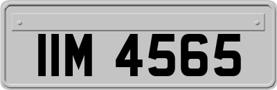 IIM4565