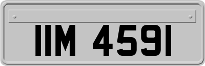 IIM4591
