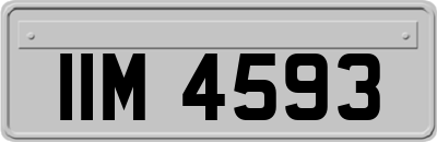 IIM4593