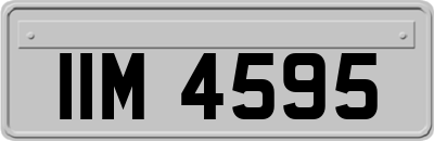 IIM4595