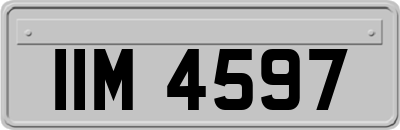 IIM4597