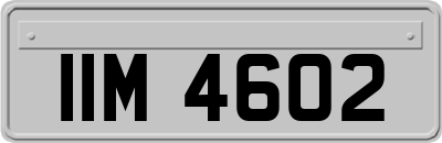 IIM4602
