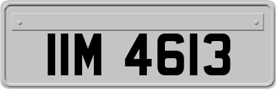 IIM4613