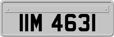 IIM4631