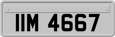 IIM4667
