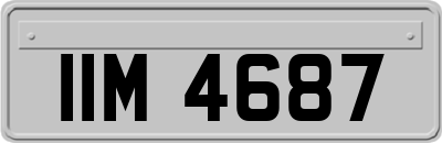 IIM4687
