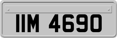 IIM4690