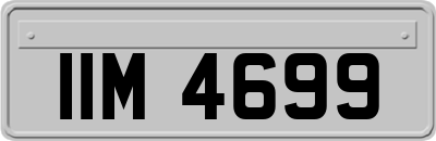 IIM4699