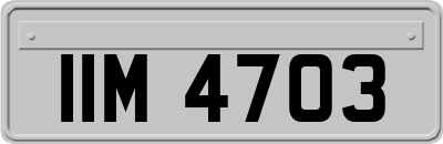 IIM4703
