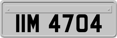 IIM4704