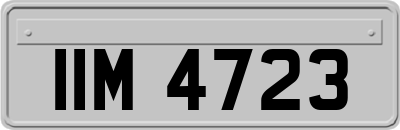 IIM4723