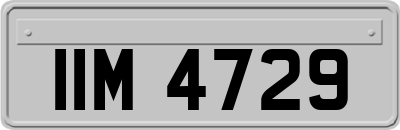IIM4729