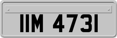 IIM4731