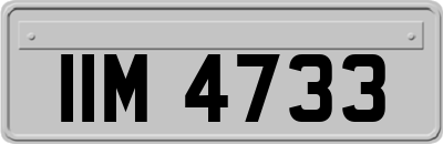 IIM4733