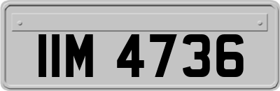 IIM4736