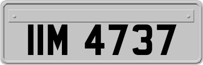 IIM4737