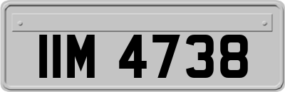 IIM4738