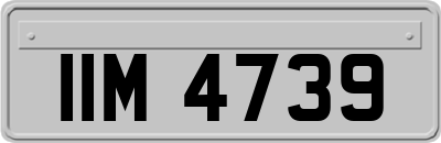 IIM4739
