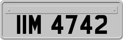 IIM4742