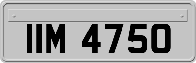 IIM4750