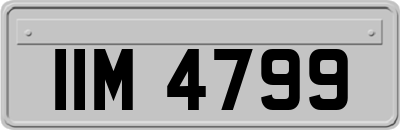 IIM4799
