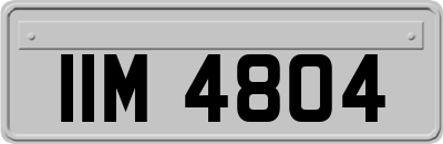 IIM4804