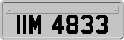 IIM4833