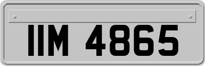 IIM4865
