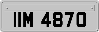 IIM4870
