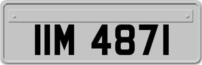 IIM4871