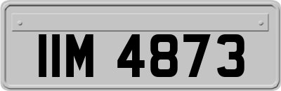 IIM4873