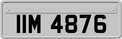 IIM4876