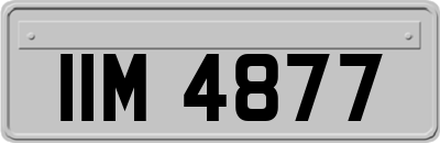 IIM4877