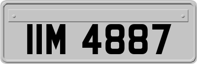 IIM4887