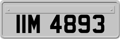 IIM4893
