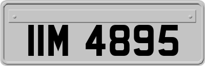 IIM4895