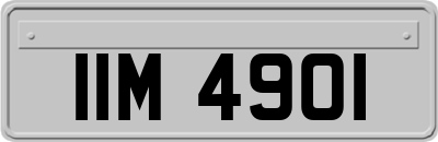 IIM4901